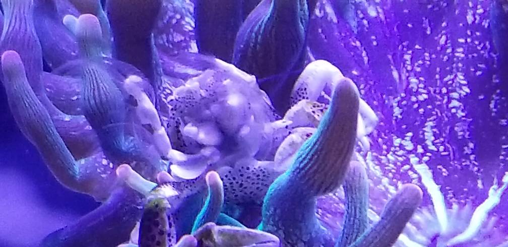20181201_104335.jpeg