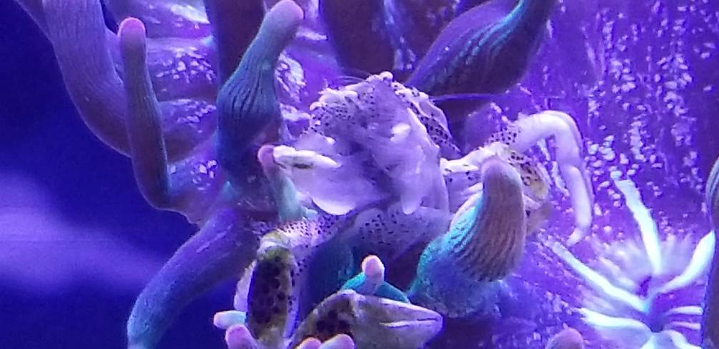 20181201_104343.jpeg