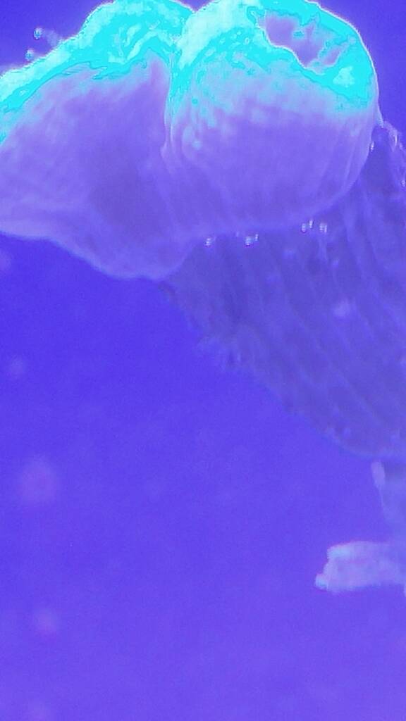20181201_230232.jpeg