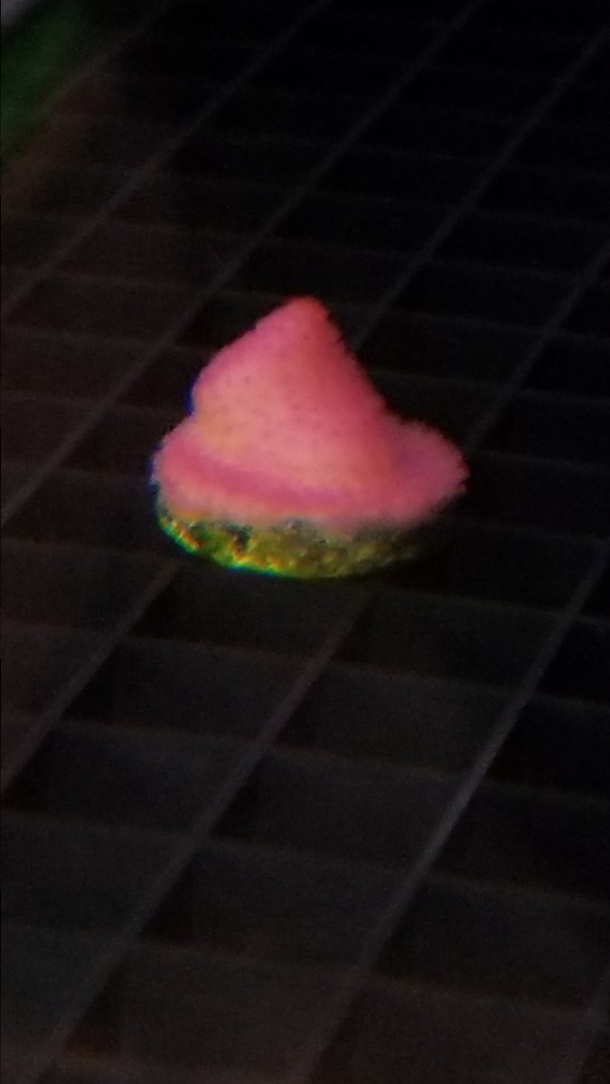 20181201_232949.jpg