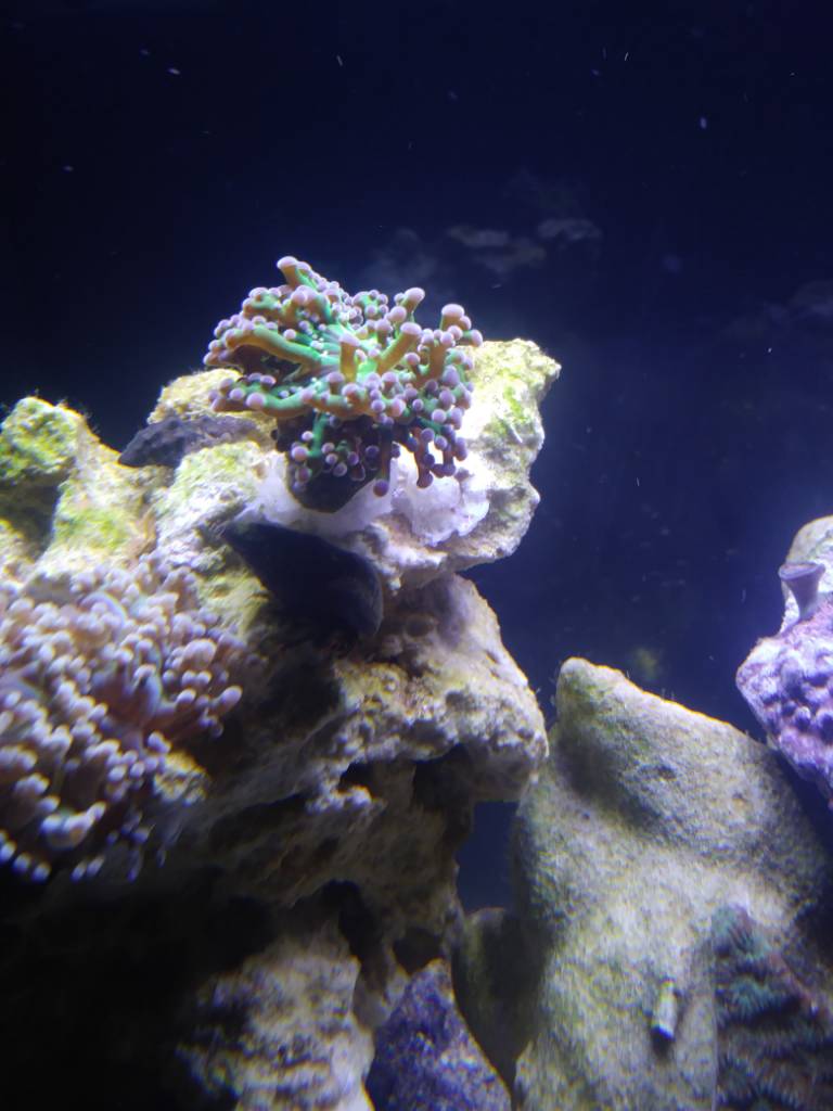 20181202_005600.jpeg