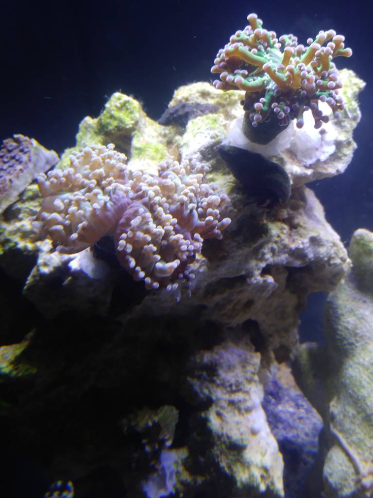 20181202_005603.jpeg