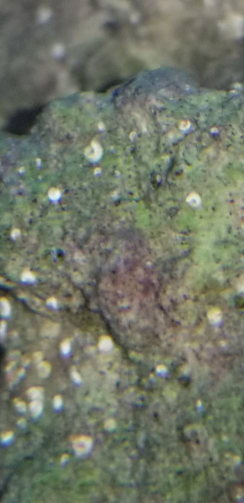 20181202_094212.jpeg