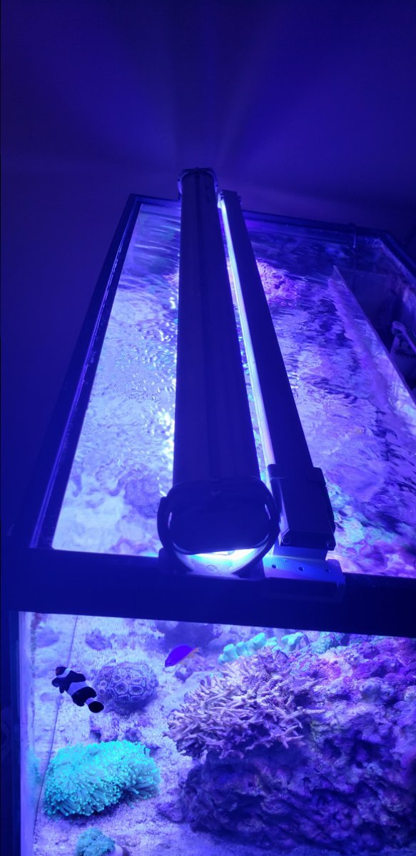 20181202_102647.jpg