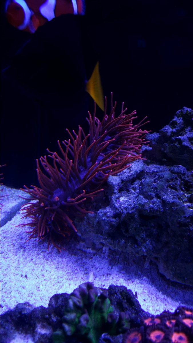 20181204_173317.jpg