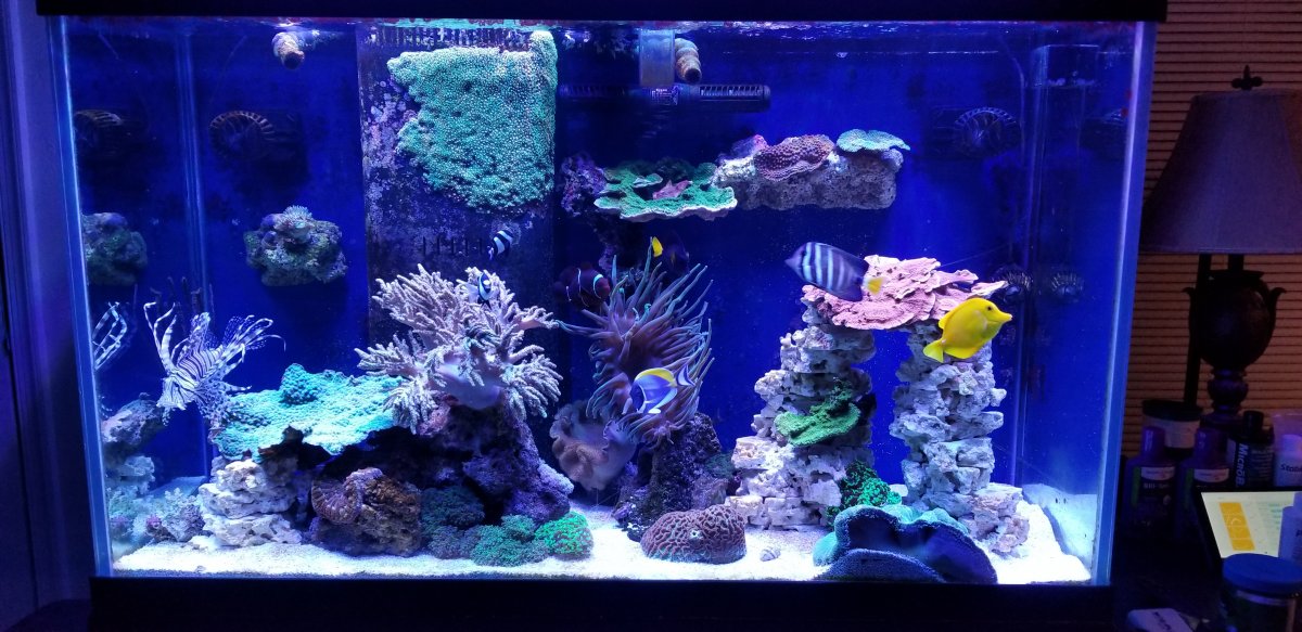 20181204_174536-jpg.908403