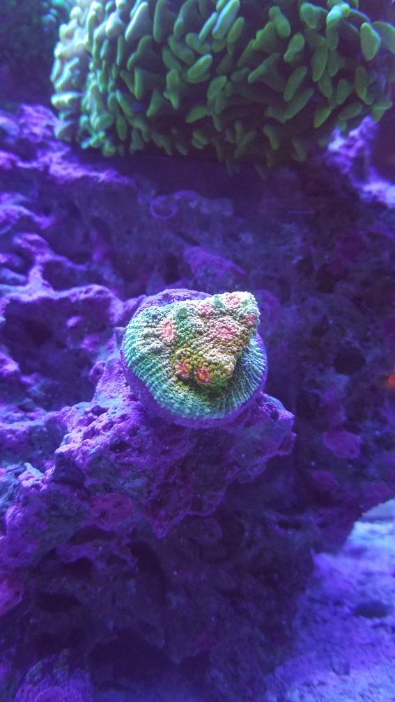 20181206_153450.jpeg