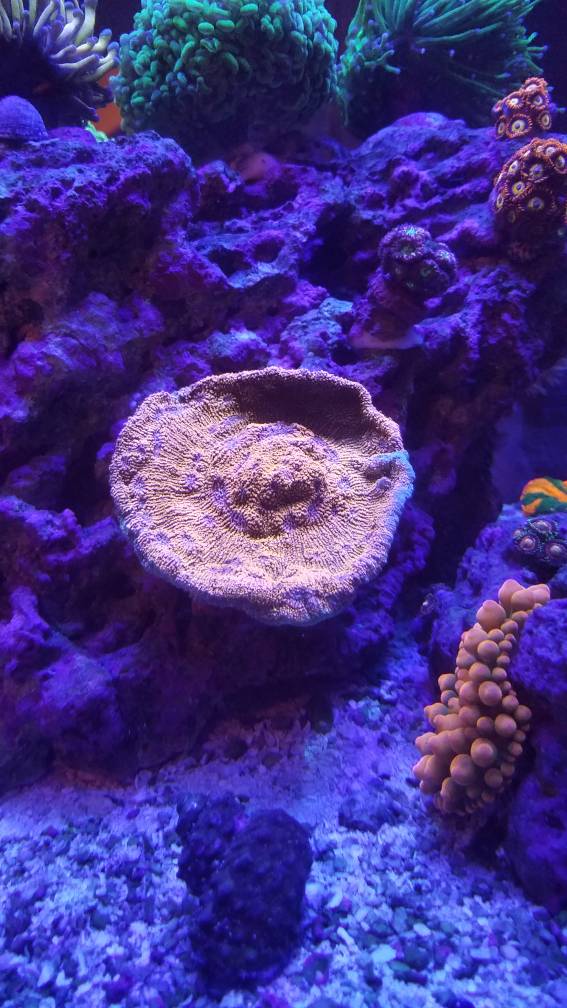 20181206_153756.jpeg