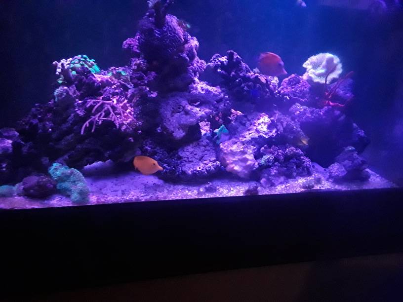 20181206_164952_001.jpeg