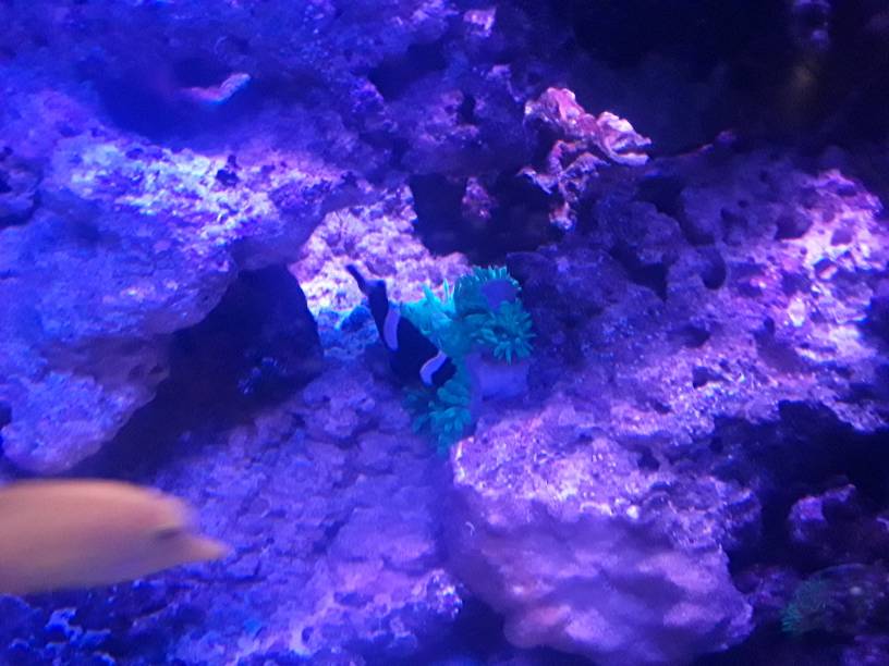 20181206_165132_001.jpeg