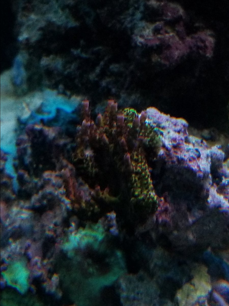20181206_215746.jpg
