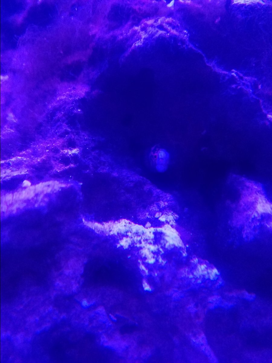 20181207_023920.jpg