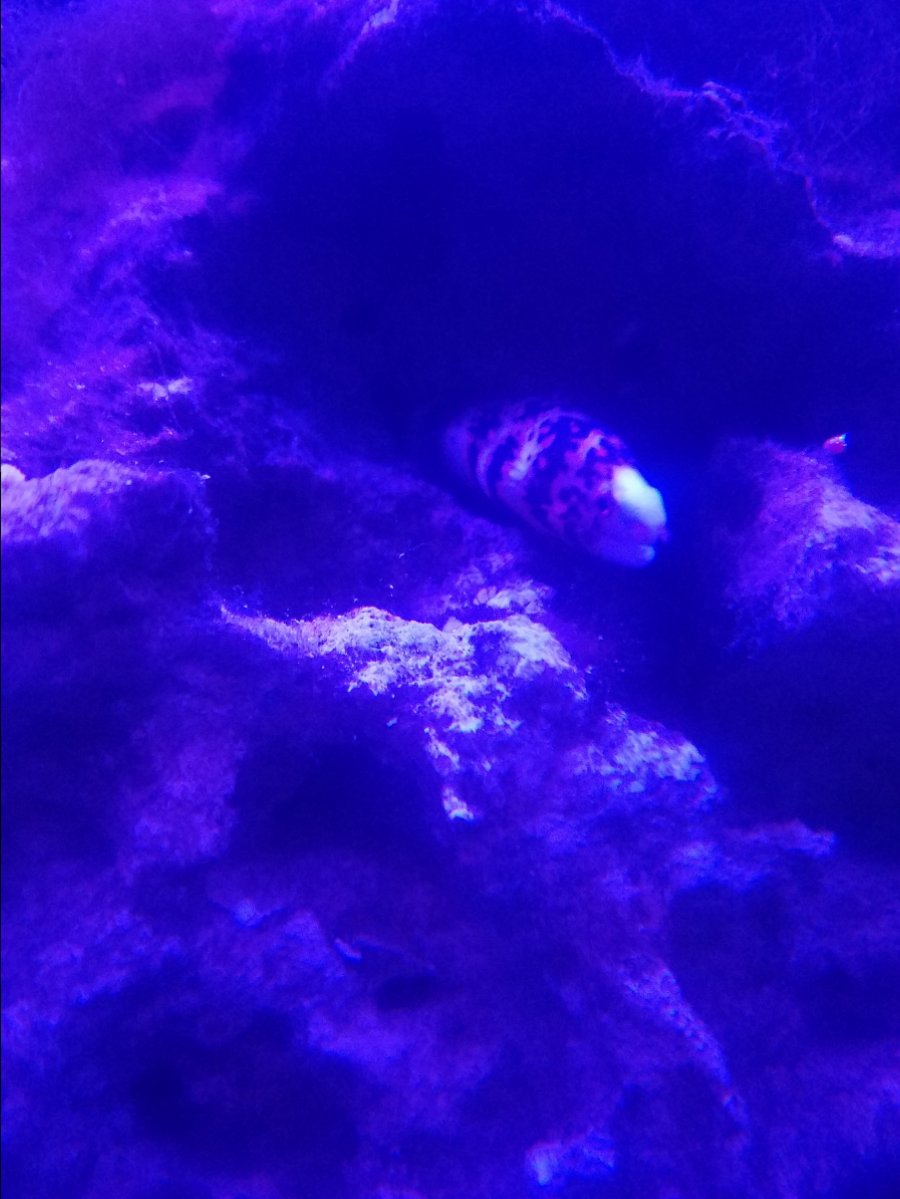 20181207_023959.jpg