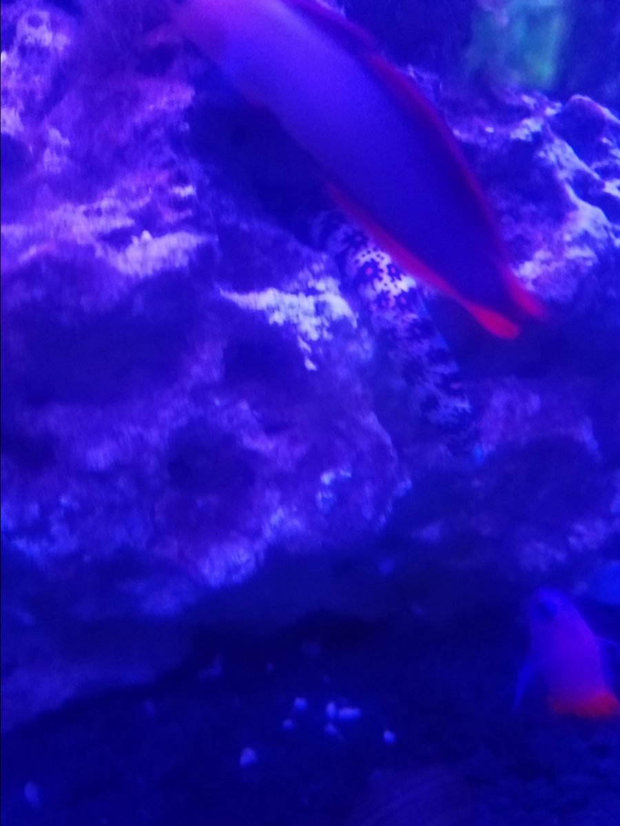 20181207_024011.jpg