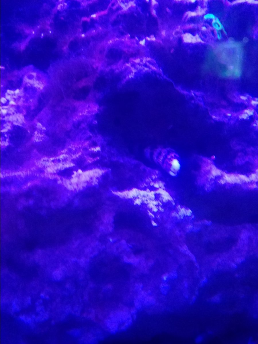 20181207_024019.jpg