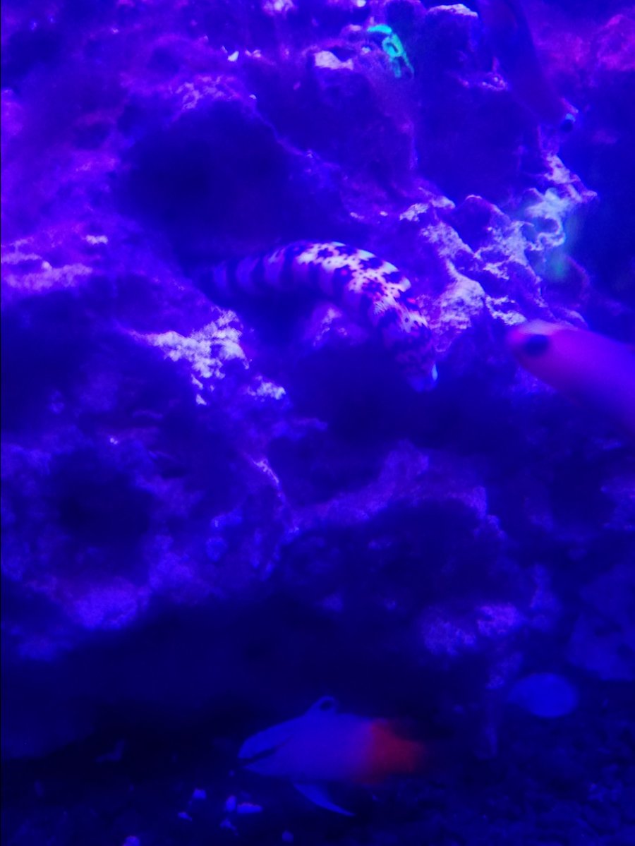 20181207_024105.jpg