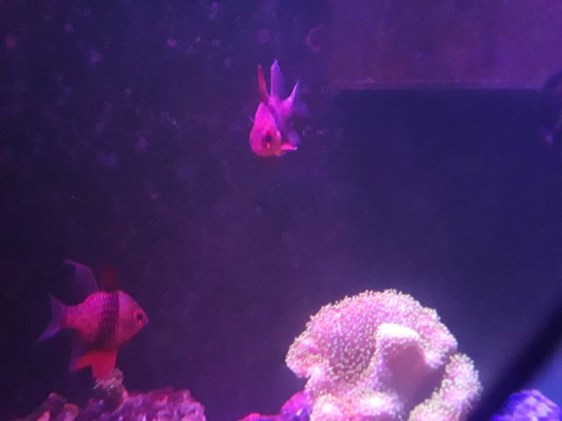 20181207_191159.jpeg