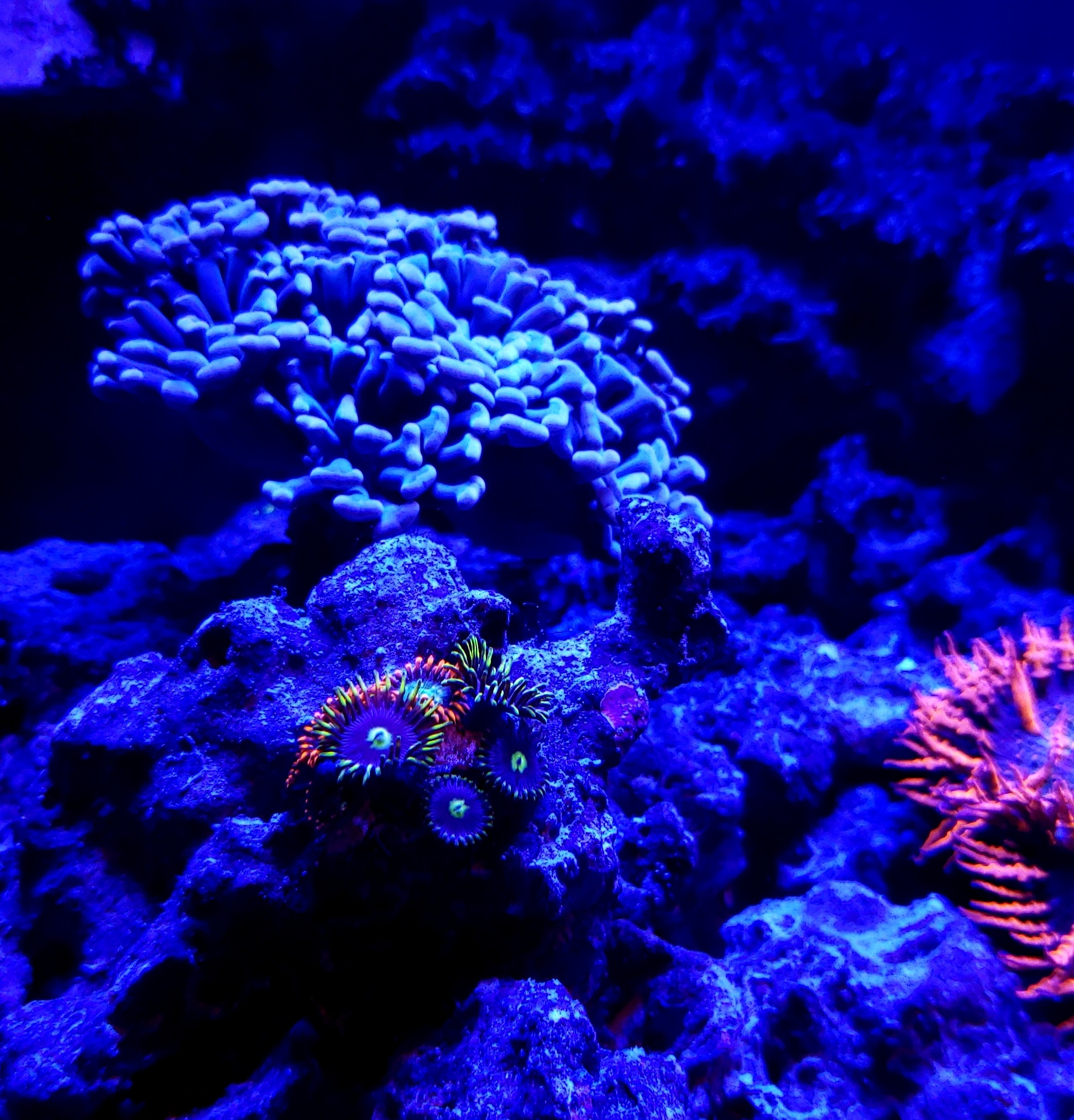 20181208_120902.jpg