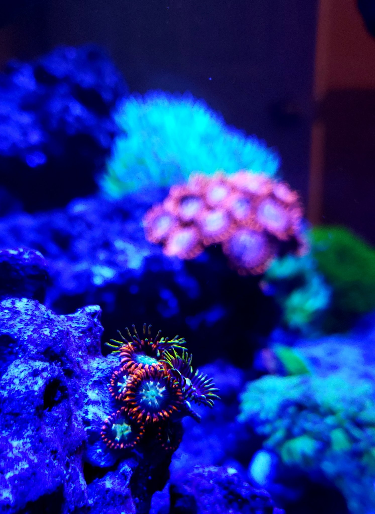20181208_121004.jpg