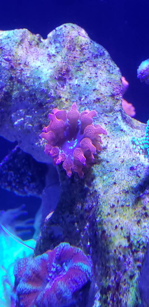 20181208_124959.jpeg