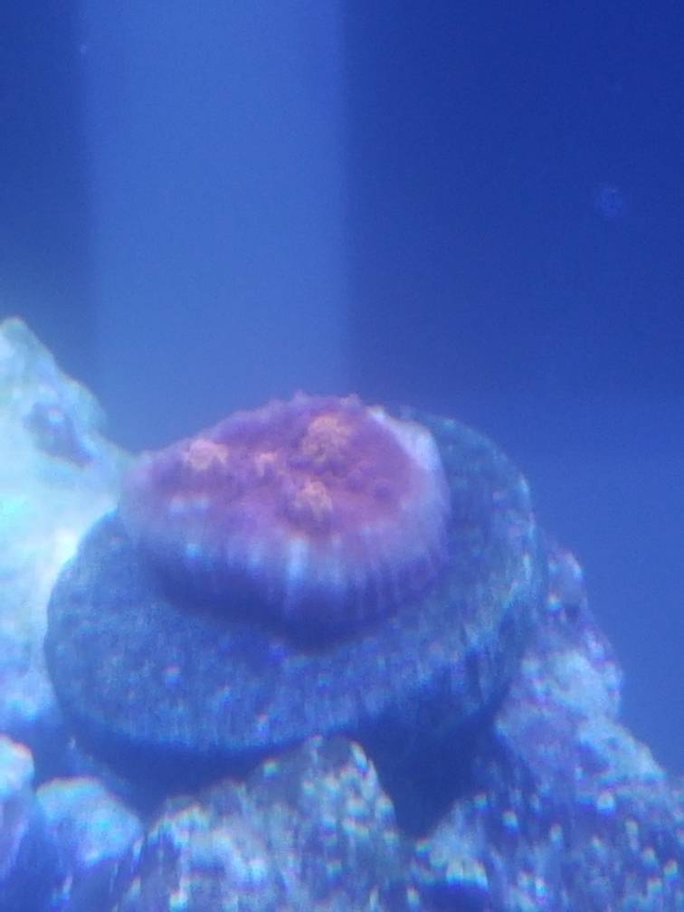 20181208_155520.jpeg