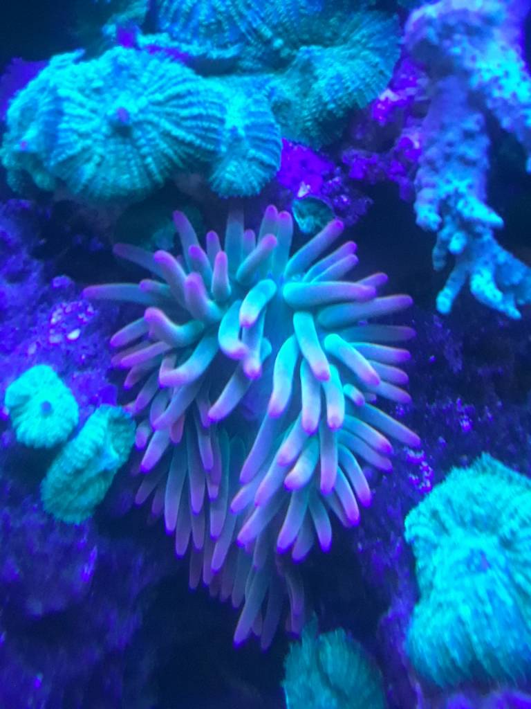 20181209_033303.jpeg