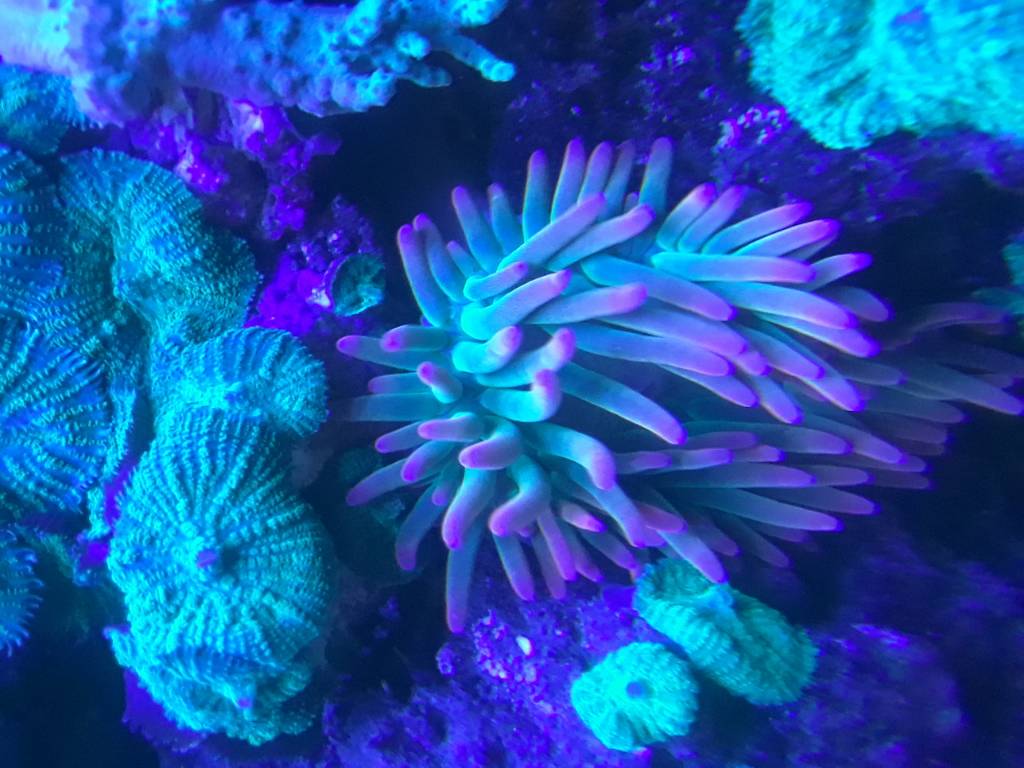 20181209_033306.jpeg