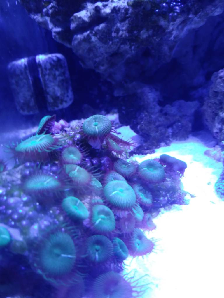 20181209_152846.jpeg