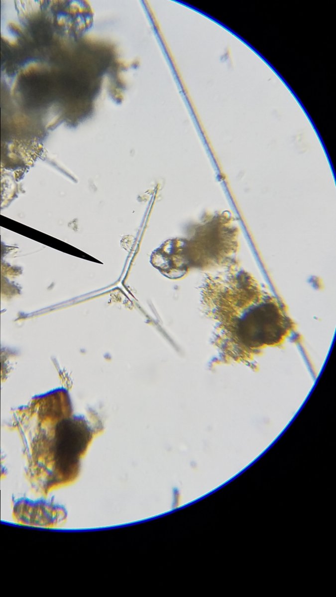 20181209_190558.jpg