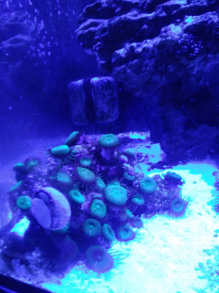 20181209_193254.jpeg