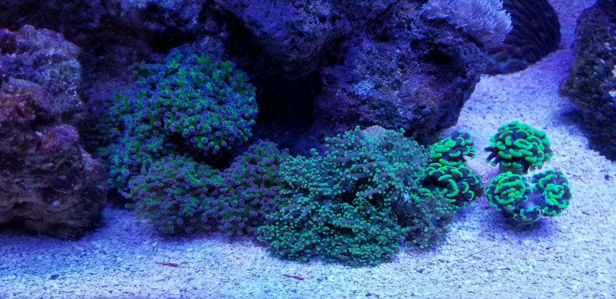 20181209_195030-jpg.913010