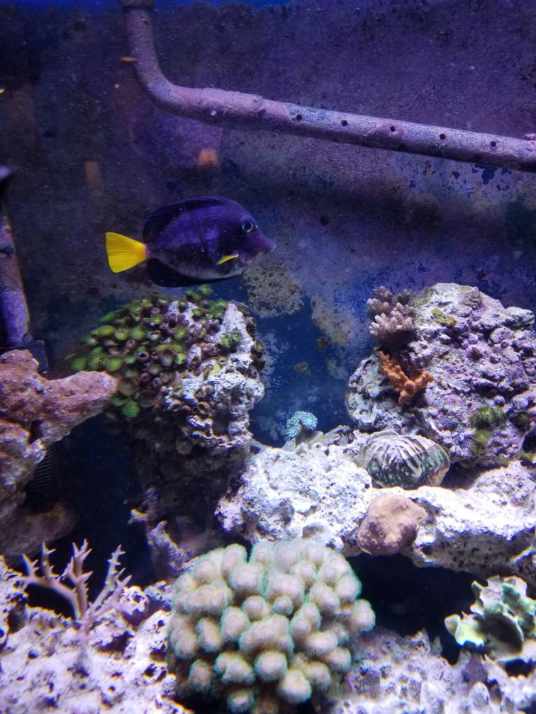 20181211_205541.jpeg