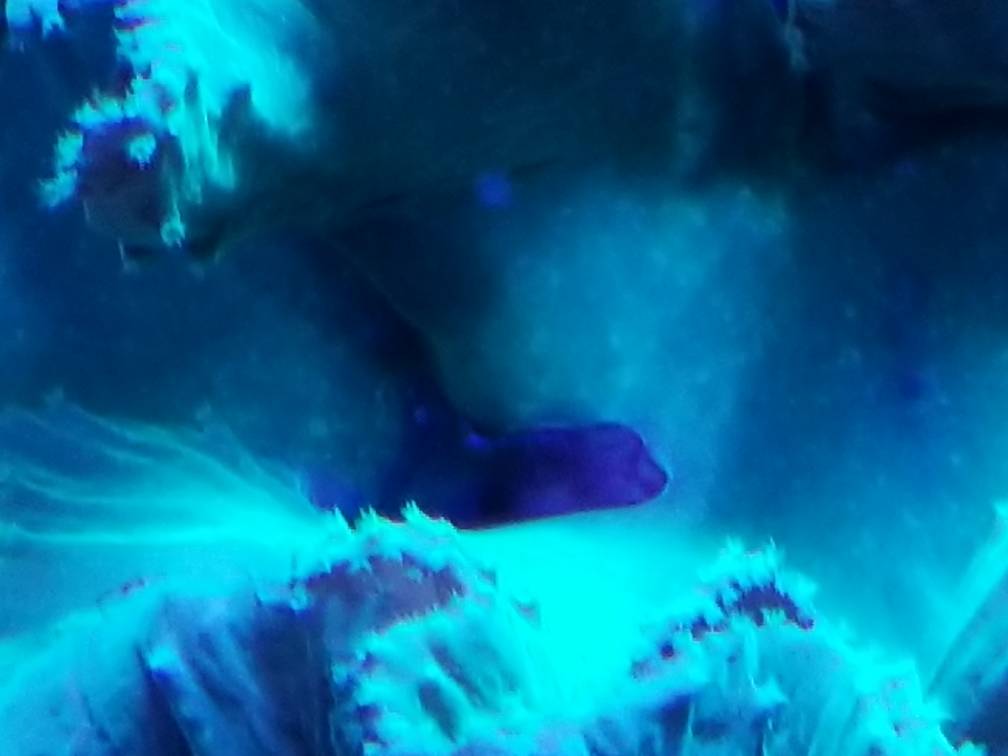 20181211_210136.jpeg
