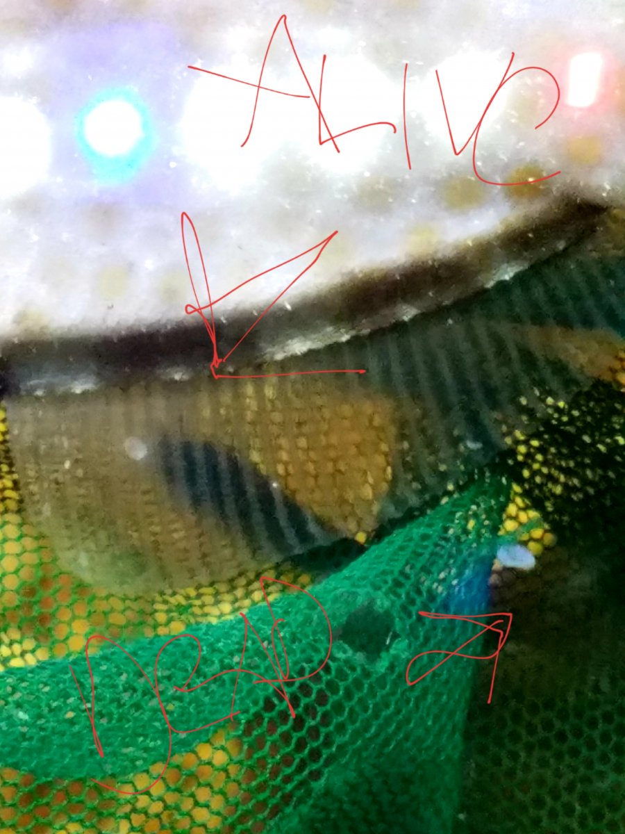 20181212_123946.jpg