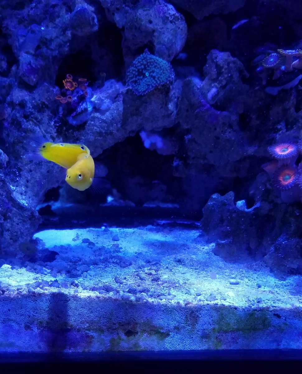 20181215_185134-01.jpeg
