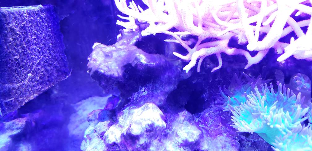 20181219_210117.jpeg