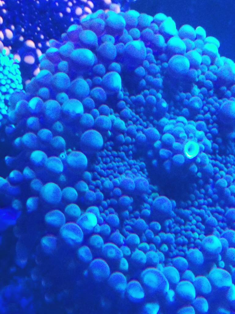 20181221_114040.jpeg