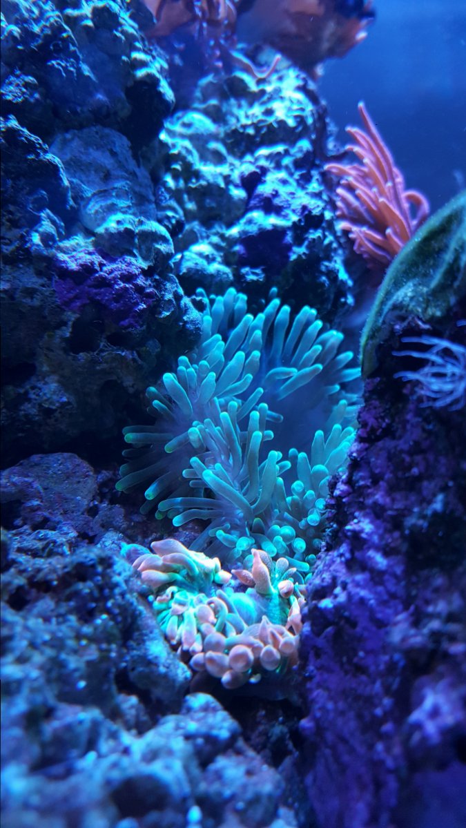 20181222_074658.jpg