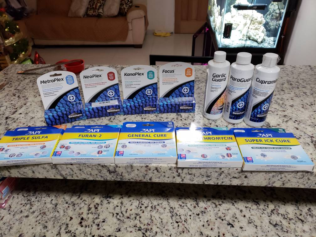 20181222_184504.jpeg