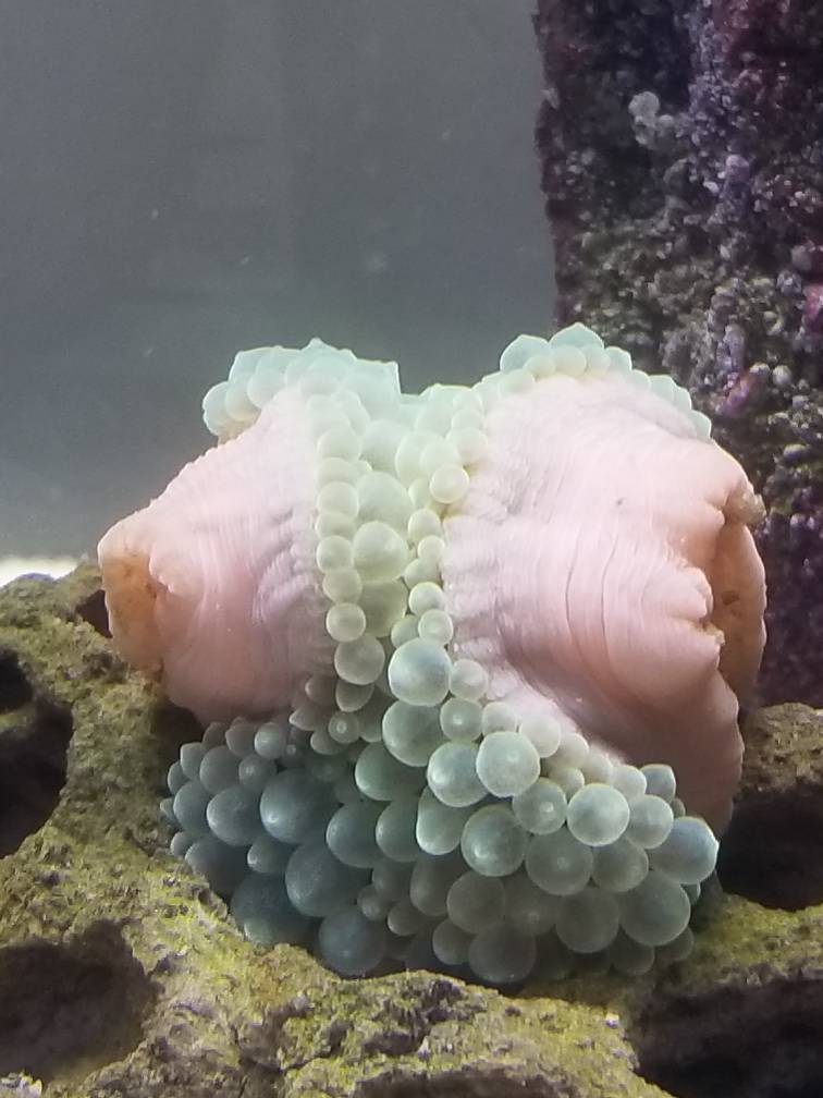 20181223_155917.jpeg