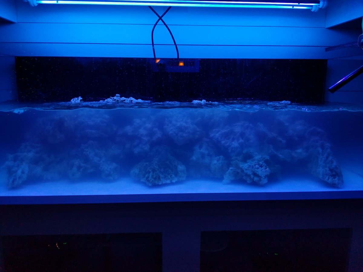 20181223_165237.jpg