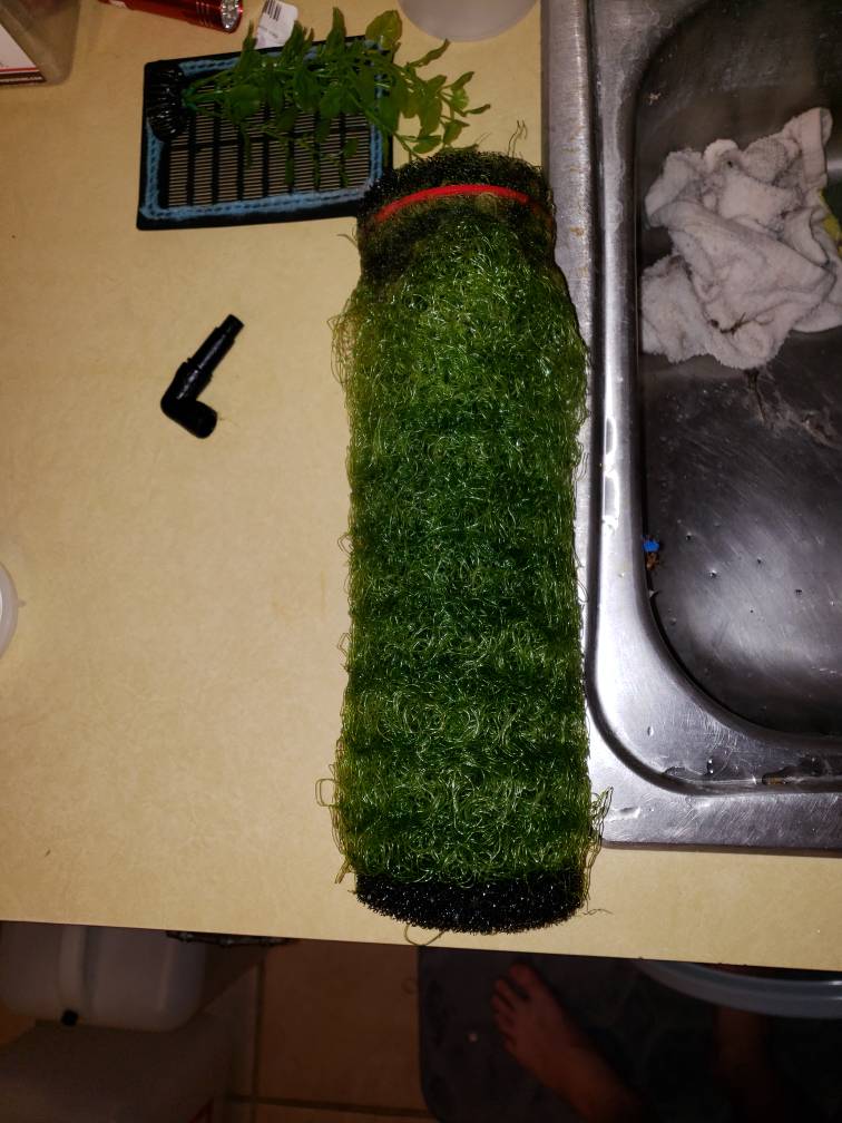 20181225_211020.jpeg
