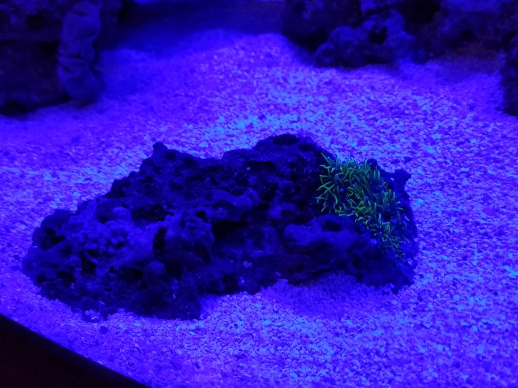20181226_174050.jpeg