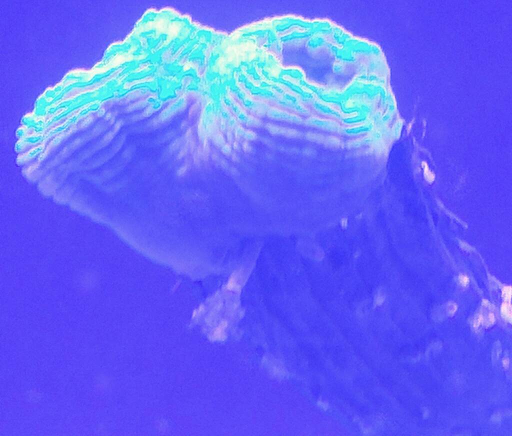 20181226_231332.jpeg