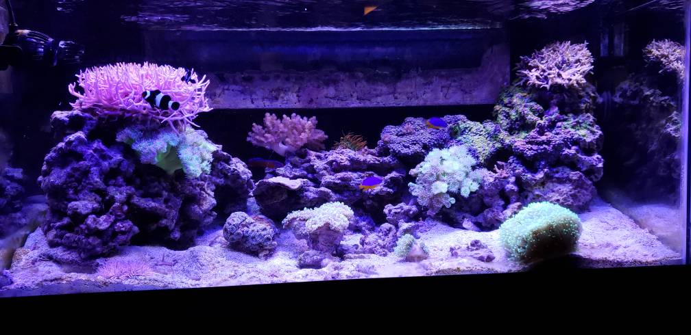 20181227_105628.jpeg
