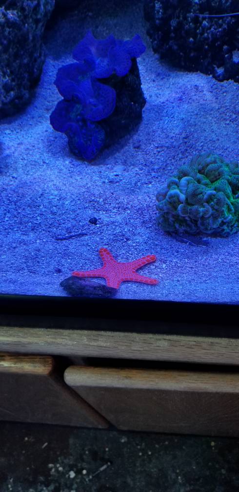 20181229_152250.jpeg