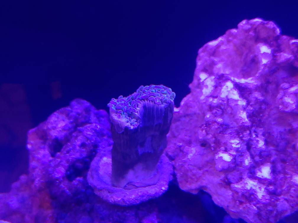 20181231_184718.jpeg