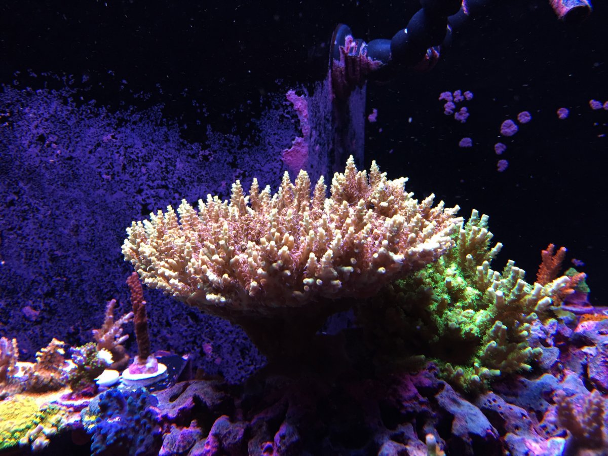 2019-01-02.jpeg