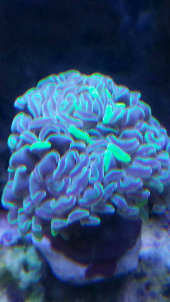 2019-01-20%2014.08.37.jpeg