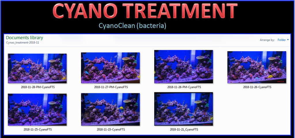 2019-08-24_CyanoCleanTreamentExperiment.jpg